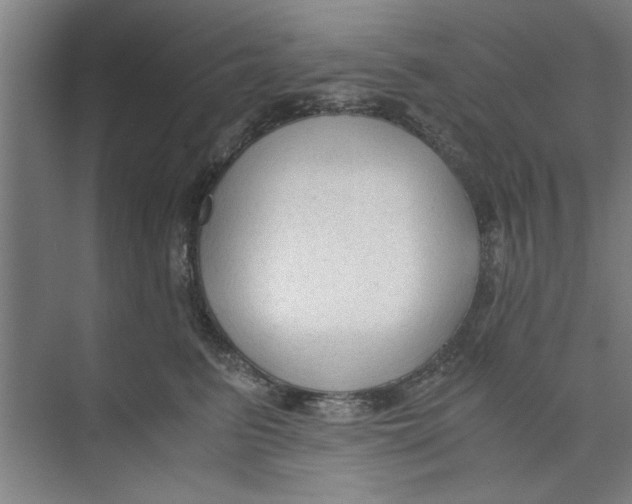 X0000071970615200608041647