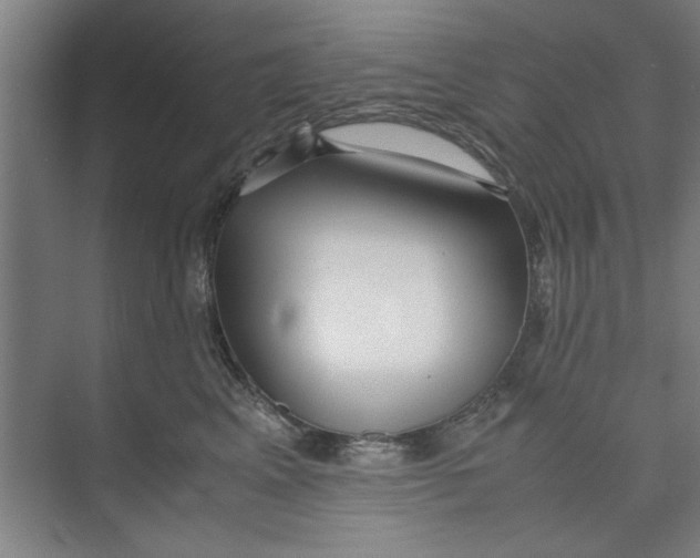 X0000071970617200608041647