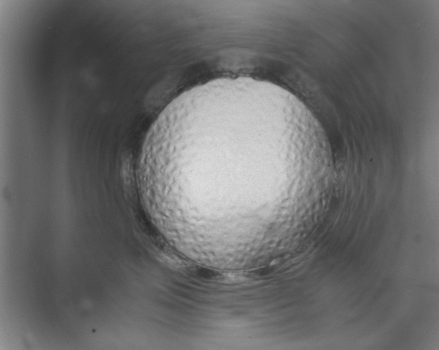 X0000071970623200608041647