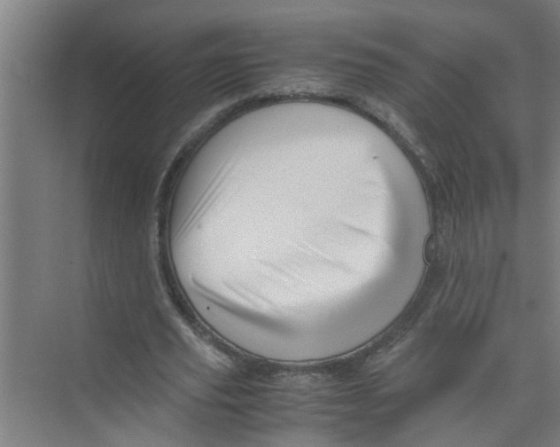 X0000071970629200608041646