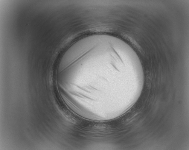 X0000071970631200608041646