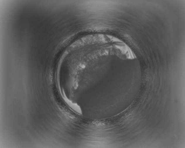 X0000071970640200608041647