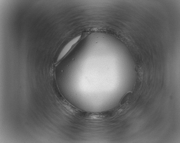 X0000071970657200608041647
