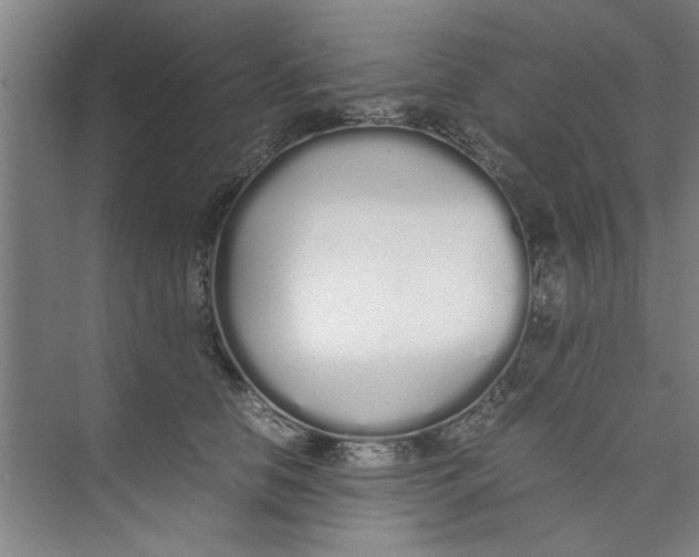 X0000071970658200608041647