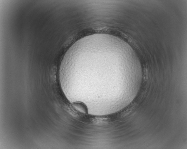 X0000071970664200608041647