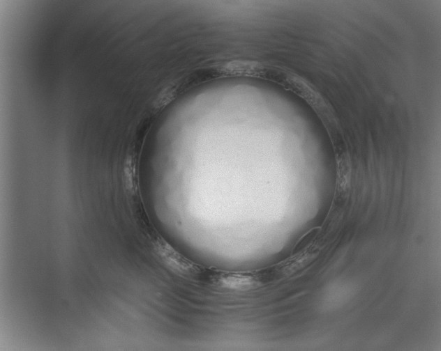 X0000071970669200608041647