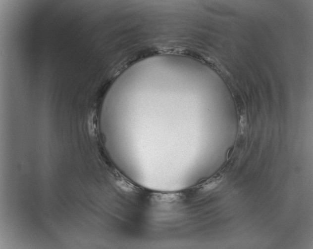 X0000071970671200608041647