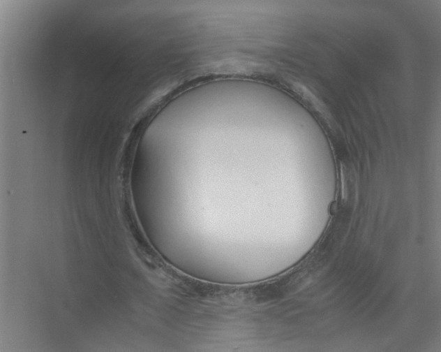 X0000071970675200608041646