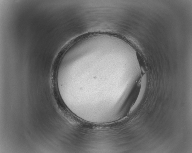 X0000071970680200608041646