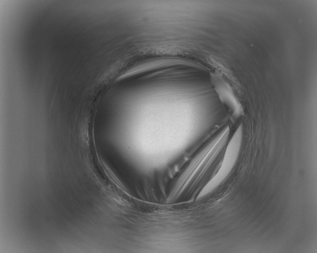 X0000071970681200608041646