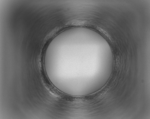 X0000071970682200608041646