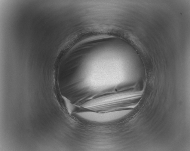 X0000071970685200608041646