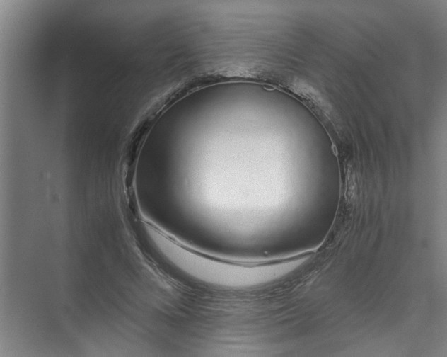 X0000071970688200608041646
