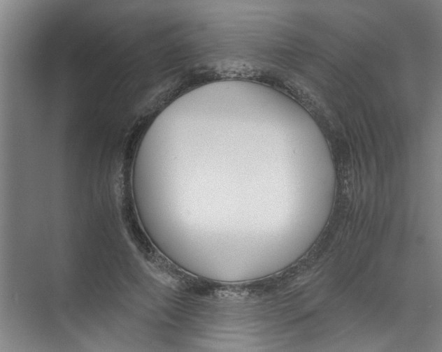 X0000071970690200608041646