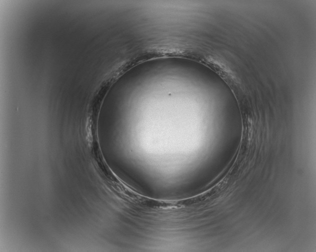 X0000071970692200608041646