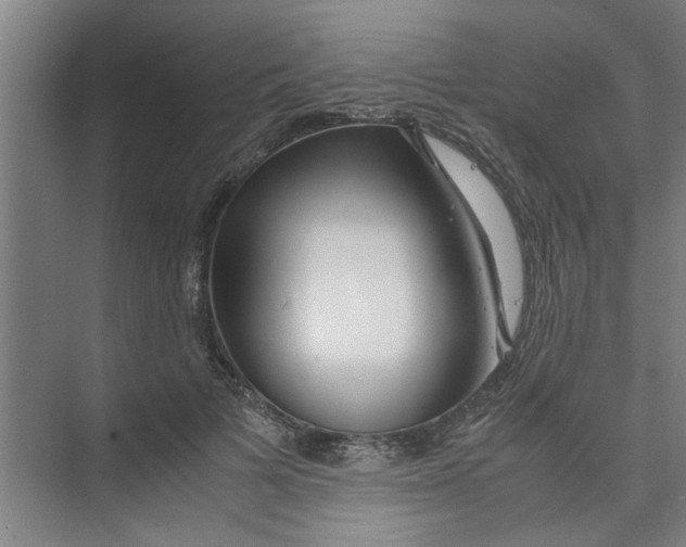 X0000071970697200608041646