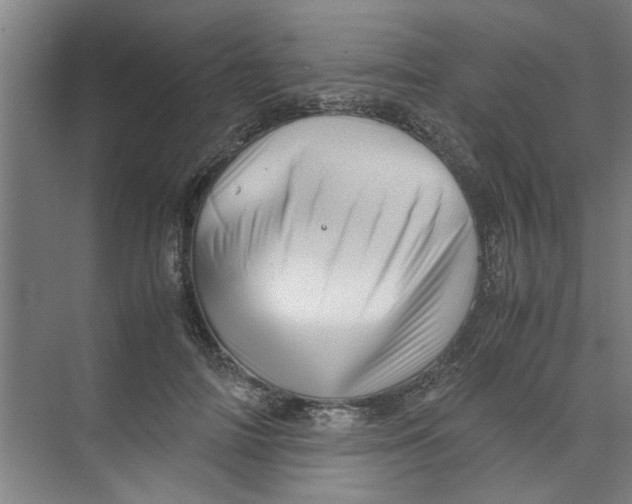 X0000071970698200608041646