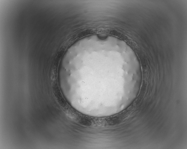 X0000071970699200608041646
