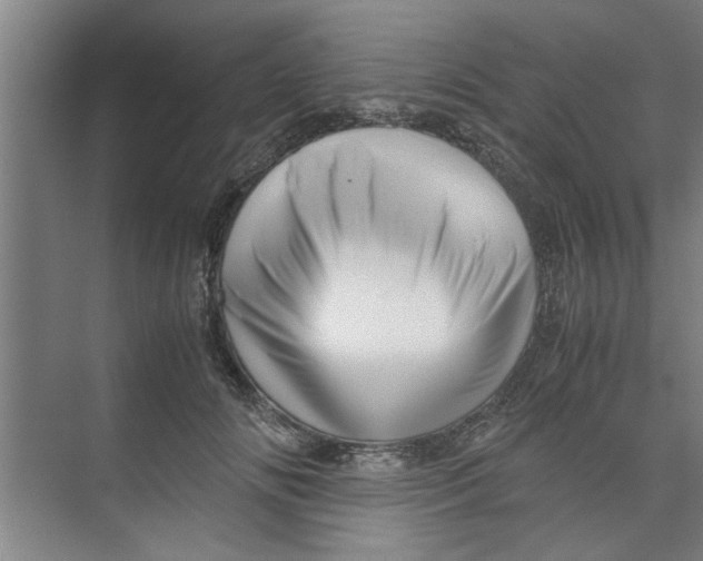 X0000071970702200608041646