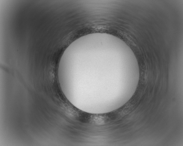 X0000071970710200608041646