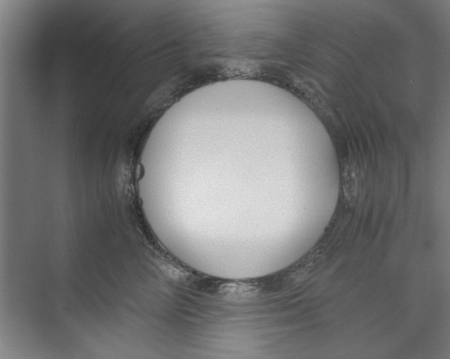 X0000071970714200608041646
