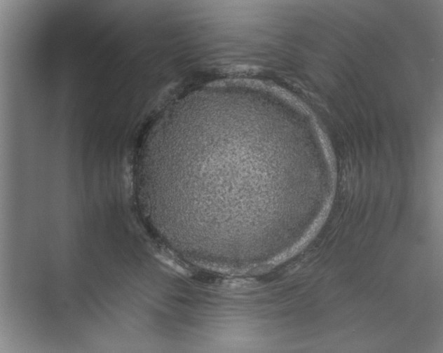 X0000071970716200608041646