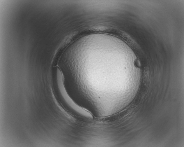 X0000071970734200608041645