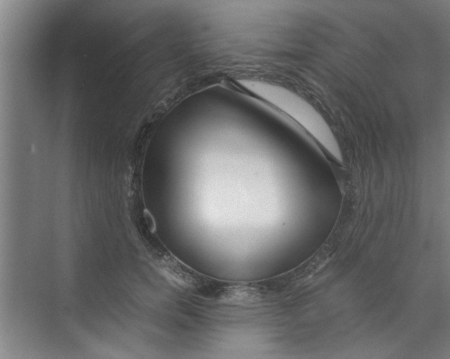 X0000071970750200608041645