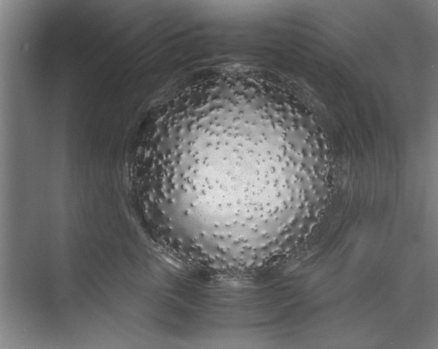 X0000071970763200608041645