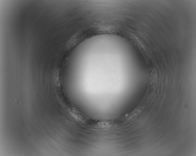 X0000071970764200608041645