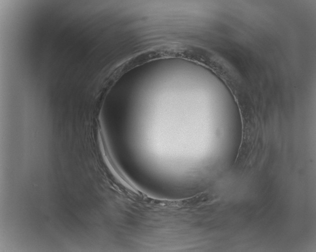 X0000071970773200608041645