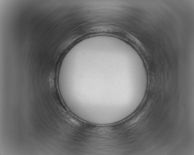 X0000071970778200608041645
