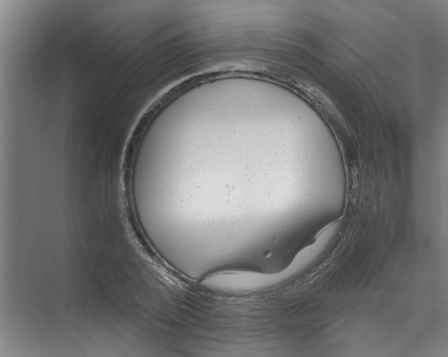 X0000071970784200608041645