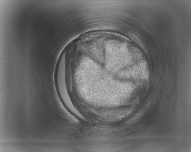 X0000071970797200608041644