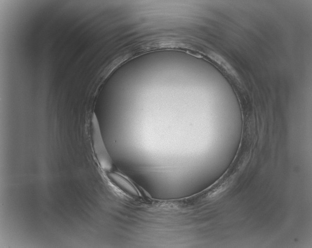X0000071970801200608041644