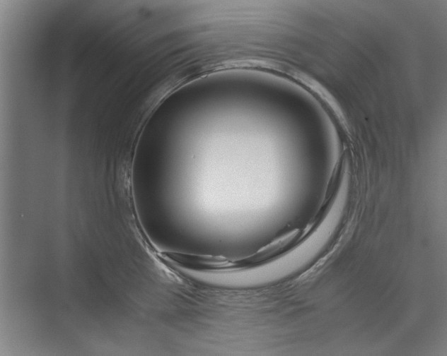 X0000071970809200608041644