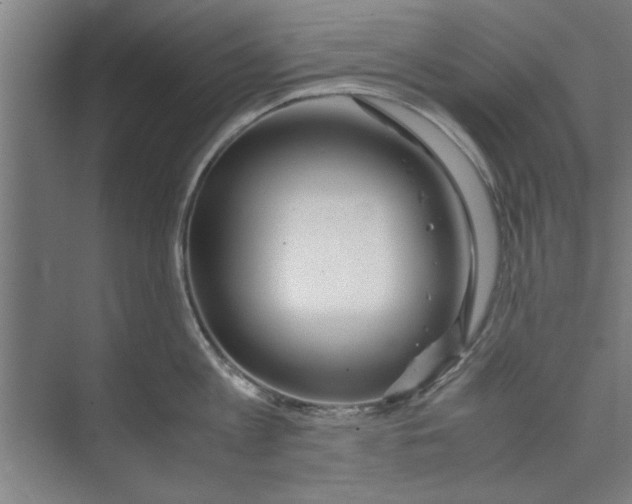 X0000071970813200608041644