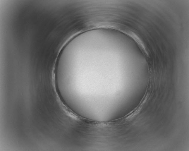 X0000071970814200608041644