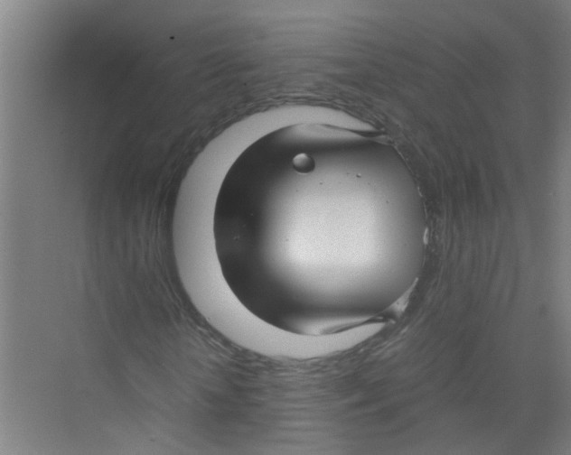 X0000071970818200608041643