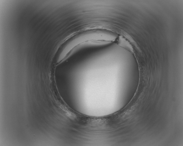 X0000071970826200608041643