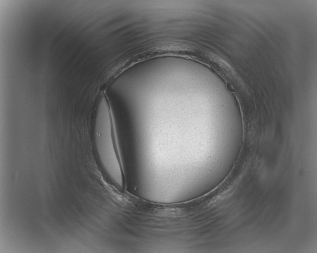 X0000071970833200608041643