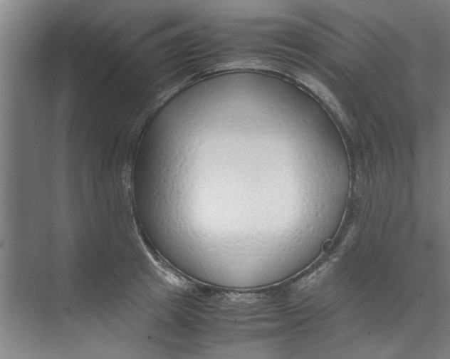 X0000071970849200608041644