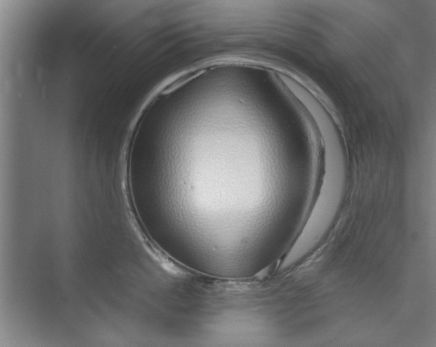 X0000071970862200608041644
