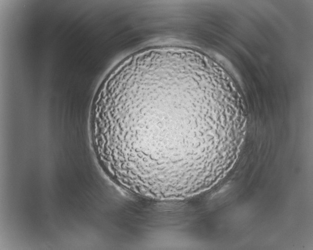 X0000071970863200608041644