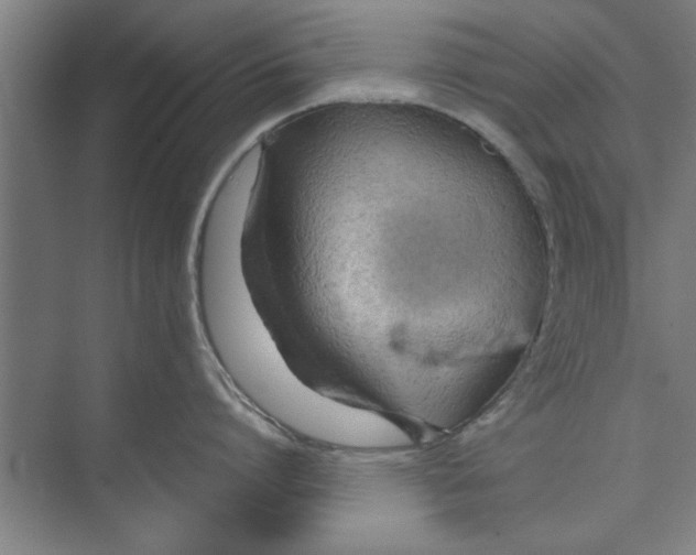 X0000071970864200608041644