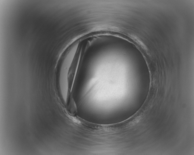X0000071970877200608041643