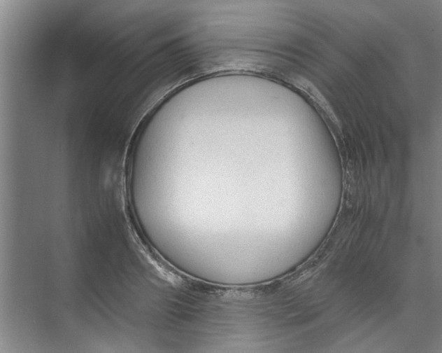 X0000071970890200608041643