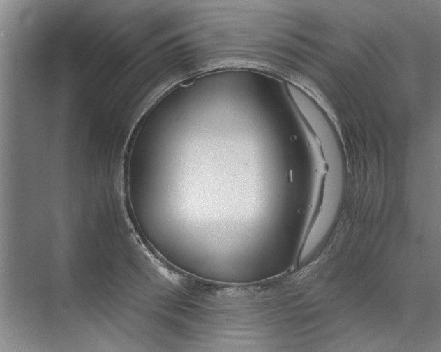 X0000071970898200608041643