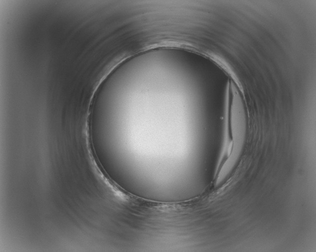 X0000071970906200608041642