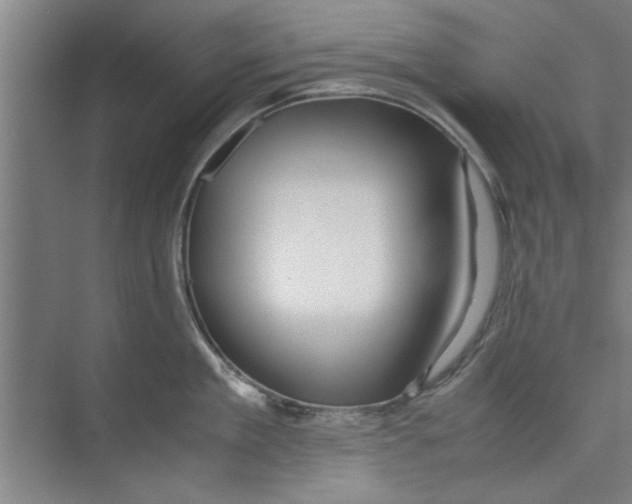 X0000071970909200608041642